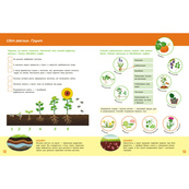 Дитяча книжка "Школа Кенгуру. Пізнаємо світ" III крок 1917003. Зображення №2