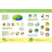 Дитяча книжка "Школа Кенгуру. Пізнаємо світ" II крок 1917002. Зображення №3