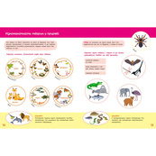 Дитяча книжка "Школа Кенгуру. Пізнаємо світ" III крок 1917003. Зображення №3