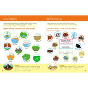 Дитяча книжка "Школа Кенгуру. Пізнаємо світ" IV крок 1917004. Зображення №3