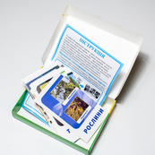 Набор тематических карточек "Природные зоны" 13169002 для детей 4-6 лет. Изображение №2