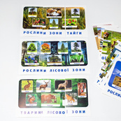 Набор тематических карточек "Природные зоны" 13169002 для детей 4-6 лет. Изображение №4