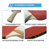 Набір для настільного тенісу VITOR NE-VT-6, 2 ракетки, 3 кульки, сітка. Зображення №3 Набір для настільного тенісу VITOR NE-VT-6, 2 ракетки, 3 кульки, сітка. Зображення №3