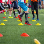 Фишки для разметки поля на подставке NE-F-CHP 50 шт, в чехле. Изображение №5