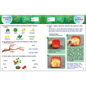 Обучающий сборник SMARTлето "Иду в 3 класс" АРТ24703 обновленное издание. Изображение №2