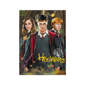 Пазл классический "Harry Potter. Гарри и друзья" 200498, 250 элементов. Изображение №4