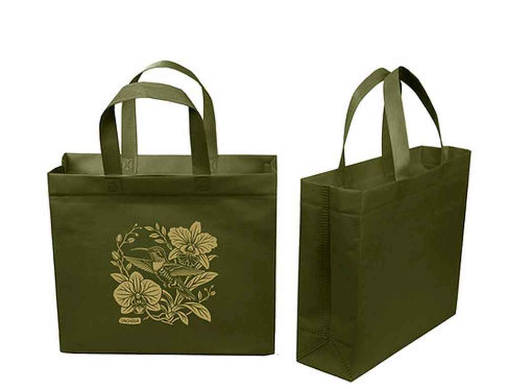 Эко сумка бокс с принтом Колибри олива с замком 320x270x100 до 500мм ТМ ЕCOBAG Эко сумка бокс с принтом Колибри олива с замком 320x270x100 до 500мм ТМ ЕCOBAG