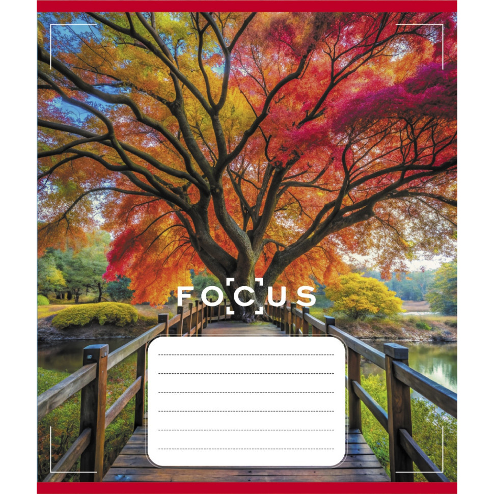 Зошит для школярів "Фокус" 012-500462K-5 у клітинку, 12 аркушів Зошит для школярів "Фокус" 012-500462K-5 у клітинку, 12 аркушів