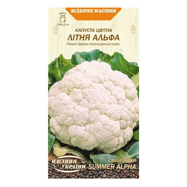 Капуста цвітна ЛІТНЯ АЛЬФА 0,5г (20 пачок) (рс) ТМ НАСІННЯ УКРАЇНИ Капуста цвітна ЛІТНЯ АЛЬФА 0,5г (20 пачок) (рс) ТМ НАСІННЯ УКРАЇНИ