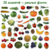Набор магнитов Magdum "Фрукты и овощи" ML4031-15 EN. Изображение №3 Набор магнитов Magdum "Фрукты и овощи" ML4031-15 EN. Изображение №3