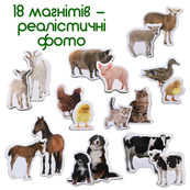 Набор магнитов Magdum "Ферма Мамы и малыши" ML4031-08 EN. Изображение №4 Набор магнитов Magdum "Ферма Мамы и малыши" ML4031-08 EN. Изображение №4