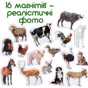 Набір магнітів Magdum "Ферма реалістичні" ML4031-04 EN. Зображення №5 Набір магнітів Magdum "Ферма реалістичні" ML4031-04 EN. Зображення №5