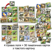 Настольная игра супер ЛОТО "Птенчики и зверята" 81985, 36 карточек. Изображение №3 Настольная игра супер ЛОТО "Птенчики и зверята" 81985, 36 карточек. Изображение №3