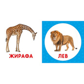 Перша книжка малюка "Дикі тварини" 165048 картон, 12 сторінок. Зображення №3 Перша книжка малюка "Дикі тварини" 165048 картон, 12 сторінок. Зображення №3