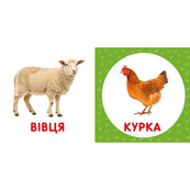Перша книжка малюка "Свійські тварини" 165050 картон, 12 сторінок. Зображення №3 Перша книжка малюка "Свійські тварини" 165050 картон, 12 сторінок. Зображення №3