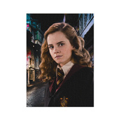 Пазл классический Hard-M "Harry Potter. Портрет Гермионы" 200577, 450 элементов. Изображение №4 Пазл классический Hard-M "Harry Potter. Портрет Гермионы" 200577, 450 элементов. Изображение №4