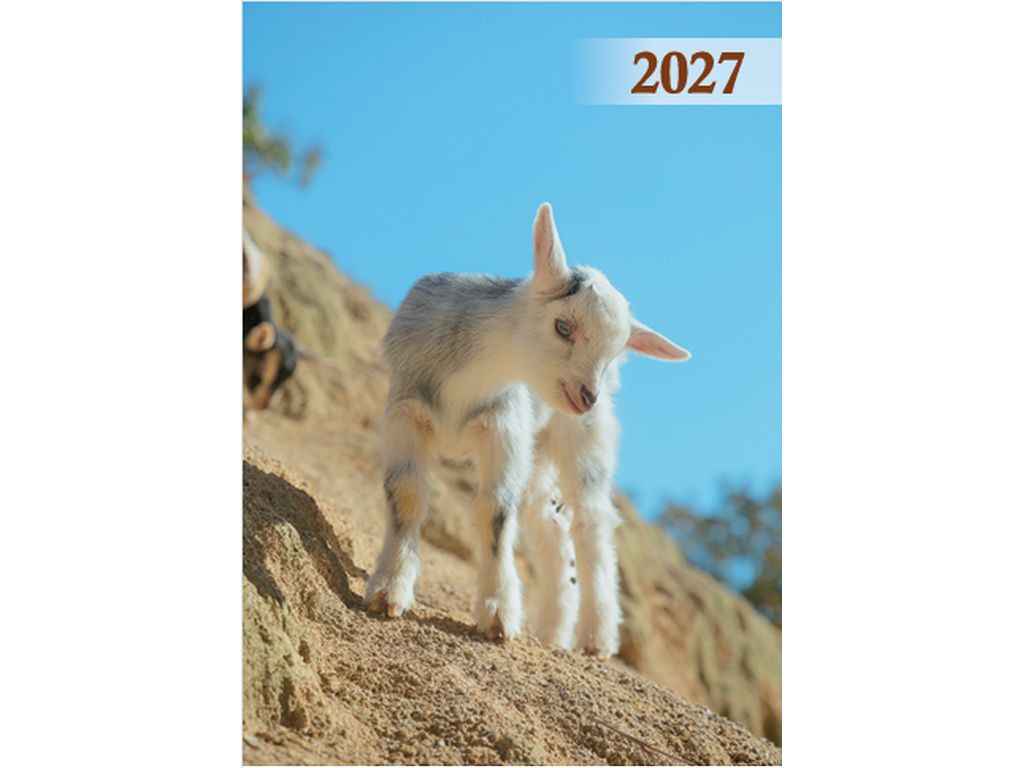 Календарь карманный 2027 КК-03 ТМ Україна Календарь карманный 2027 КК-03 ТМ Україна